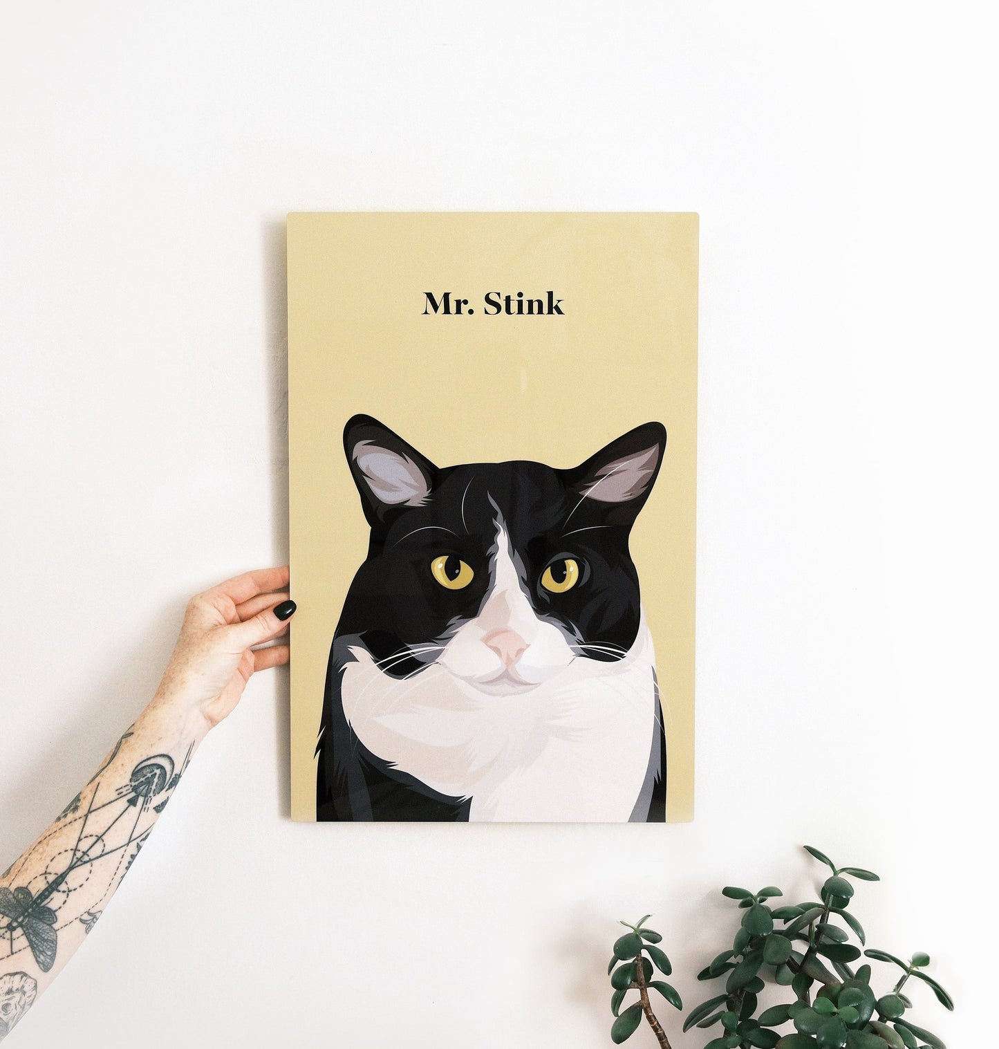 Pet Portrait