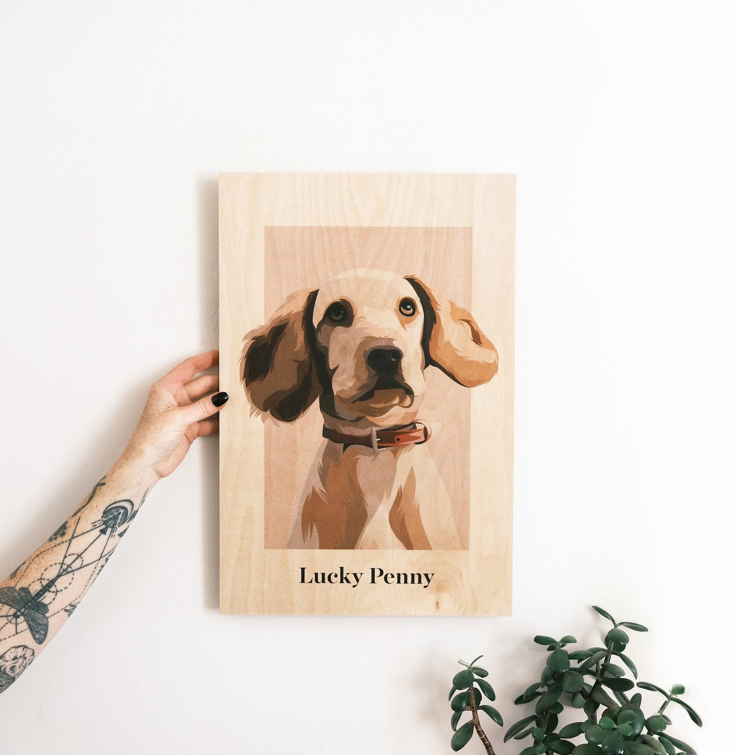 Pet Portrait