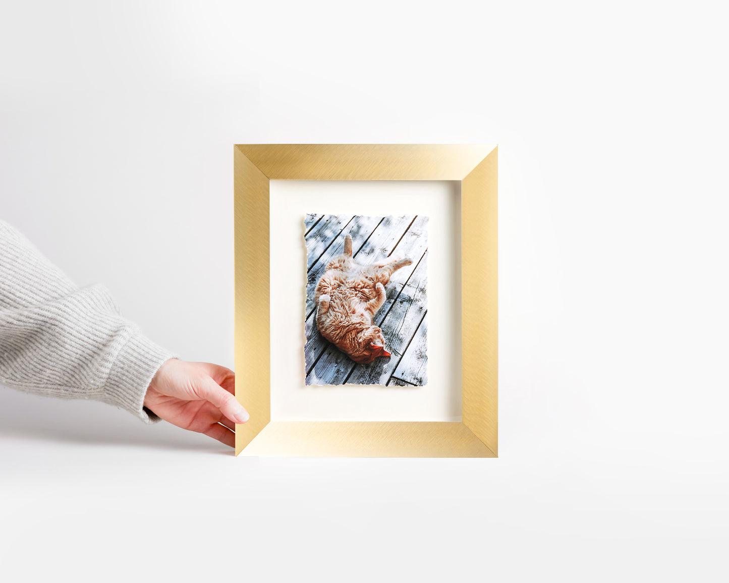 Elevation Float Frame
