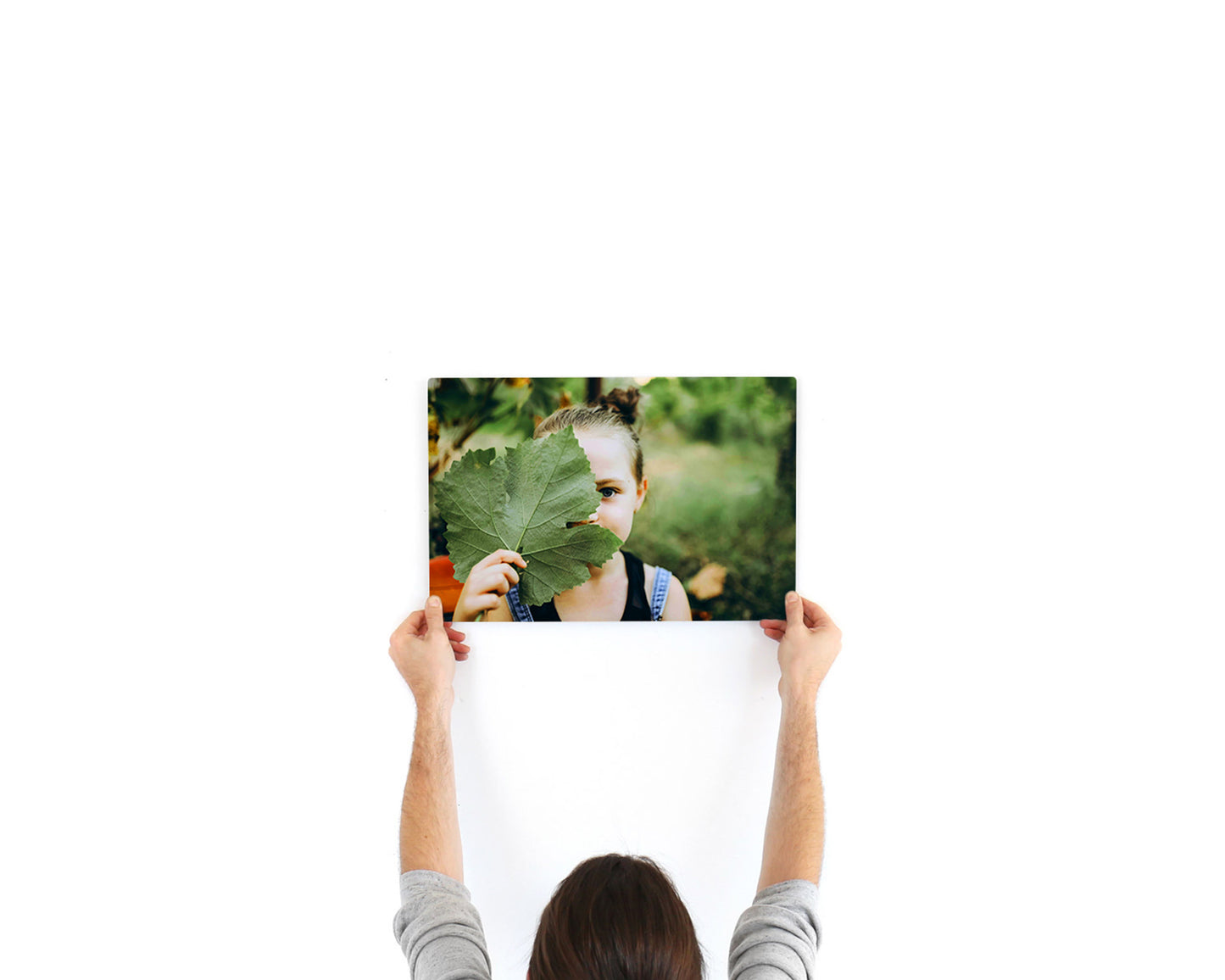 Metal Prints