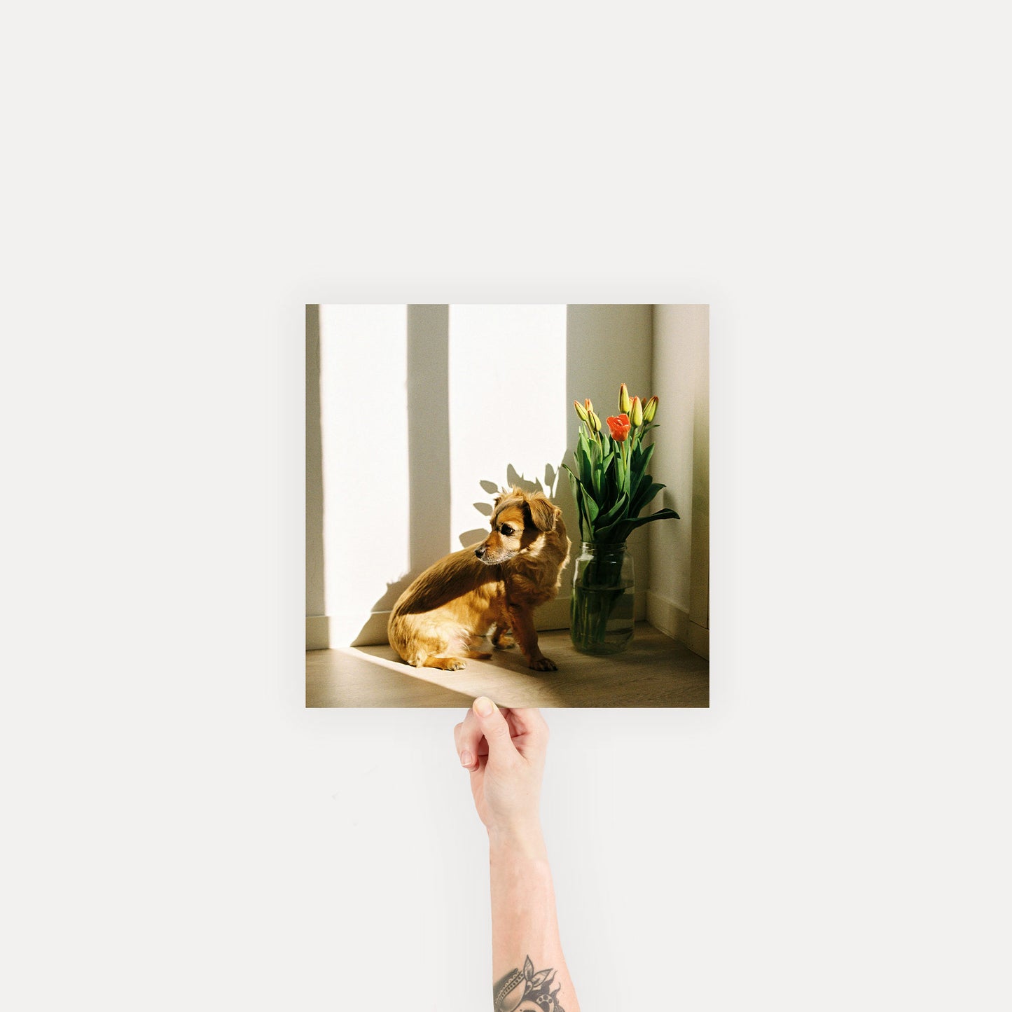 Fine Art Print