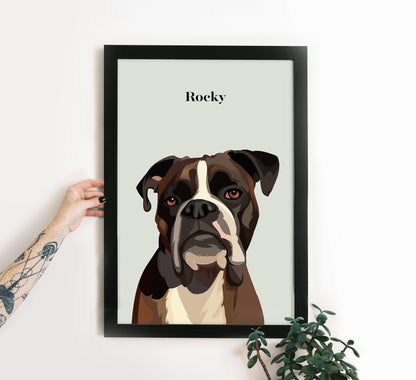 Pet Portrait