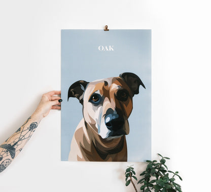 Pet Portrait