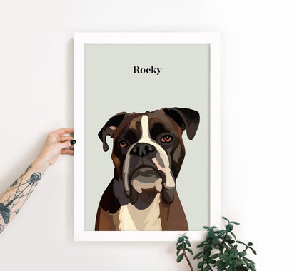 Pet Portrait