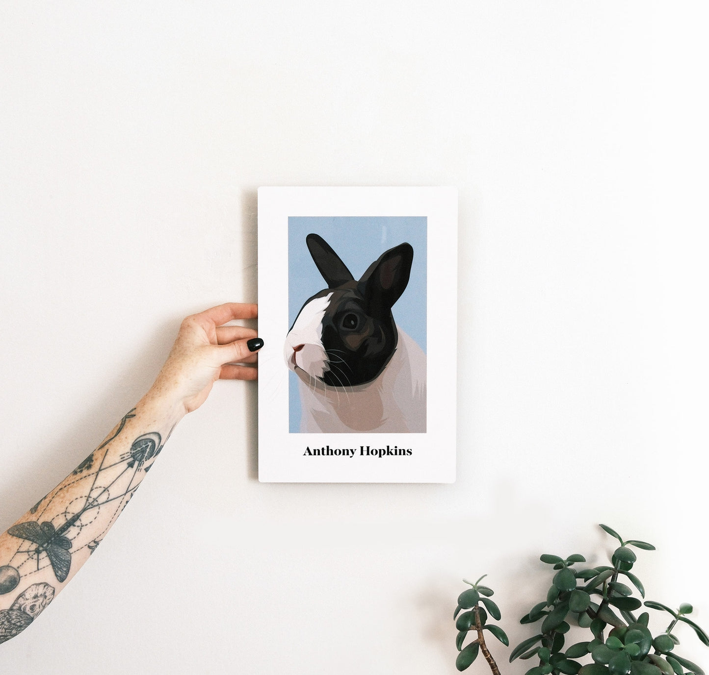 Pet Portrait