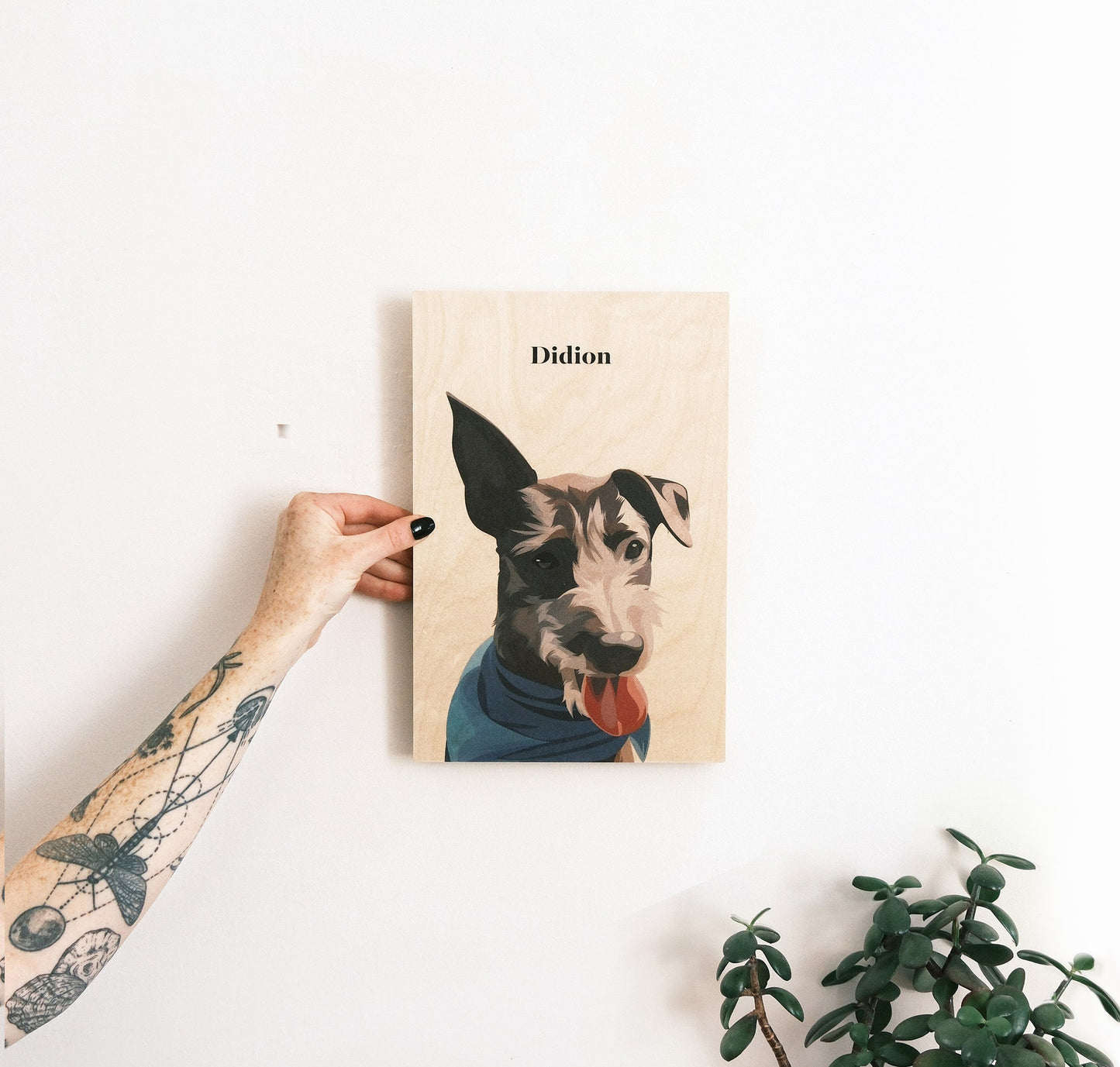Pet Portrait