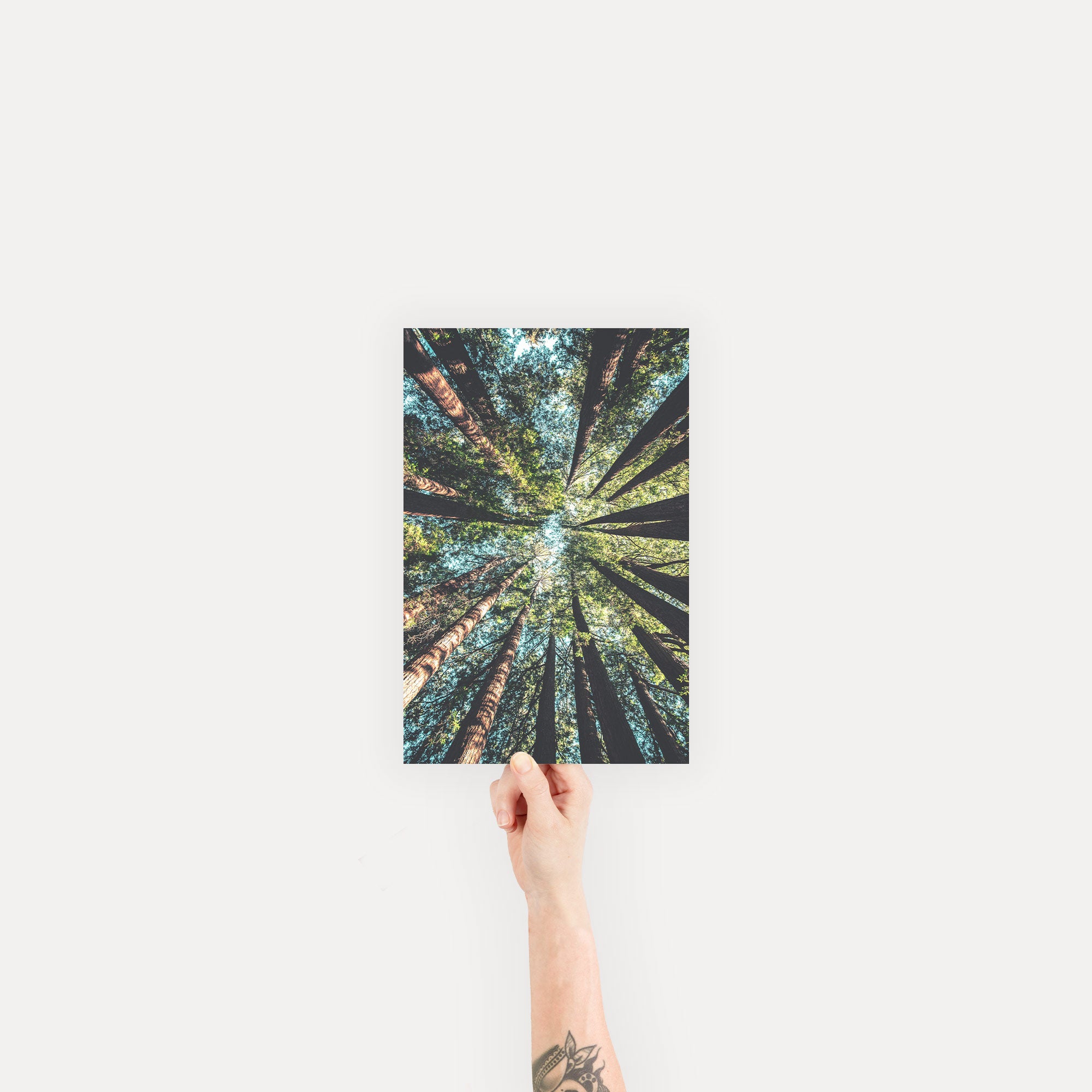 Fine Art Print | Premium Archival Photo Printing | Social Print Studio
