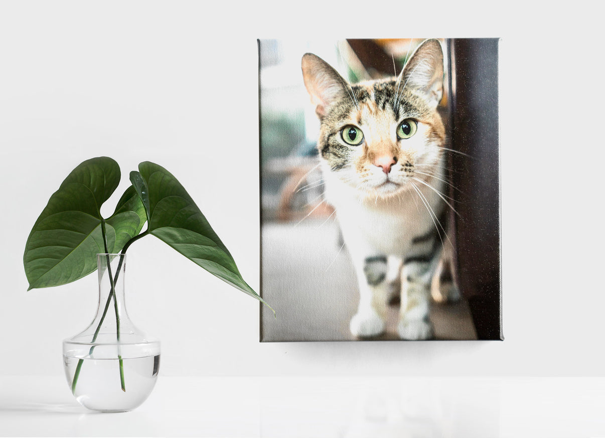 Canvas prints photo gallery wall art social print studio