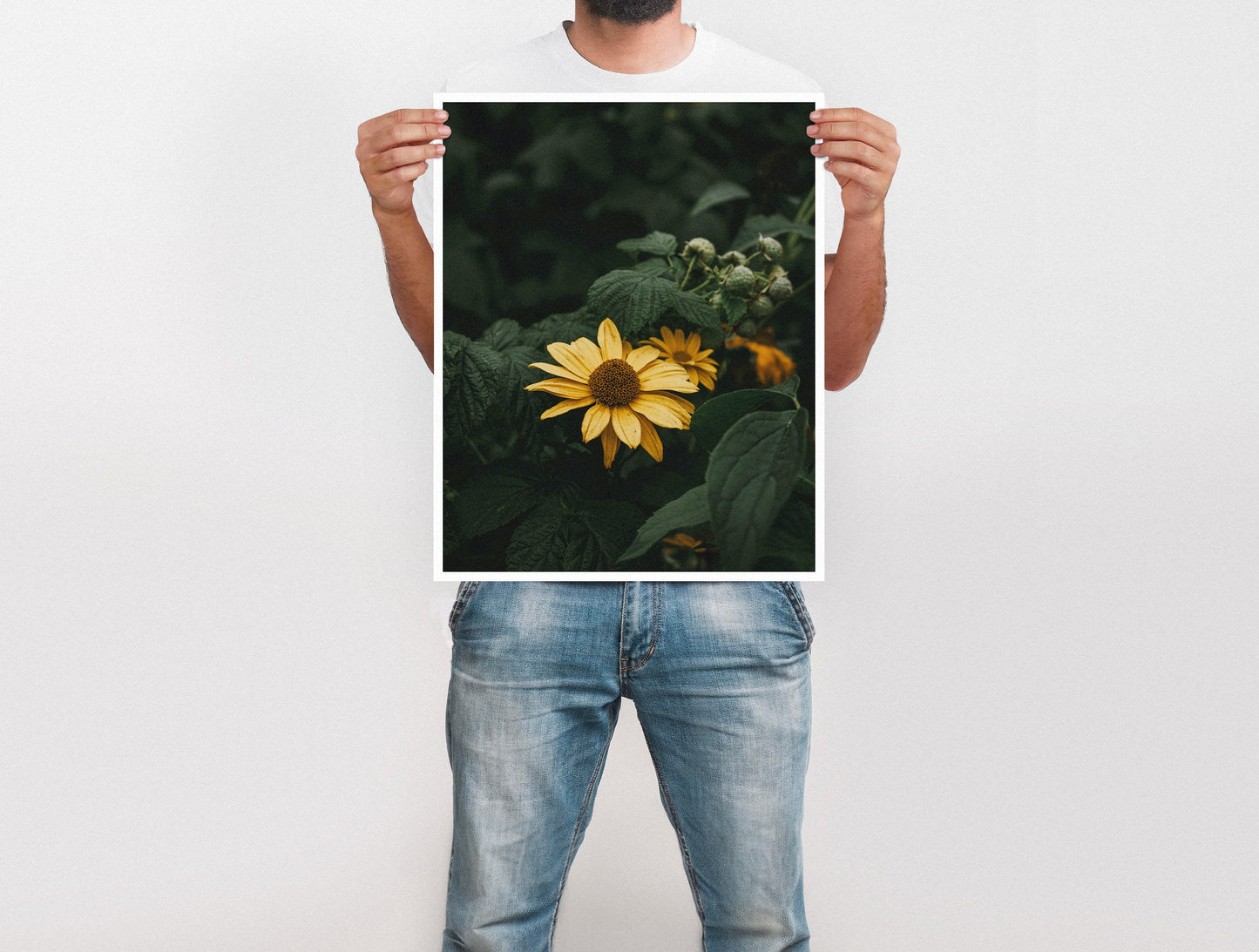 Large Format Prints