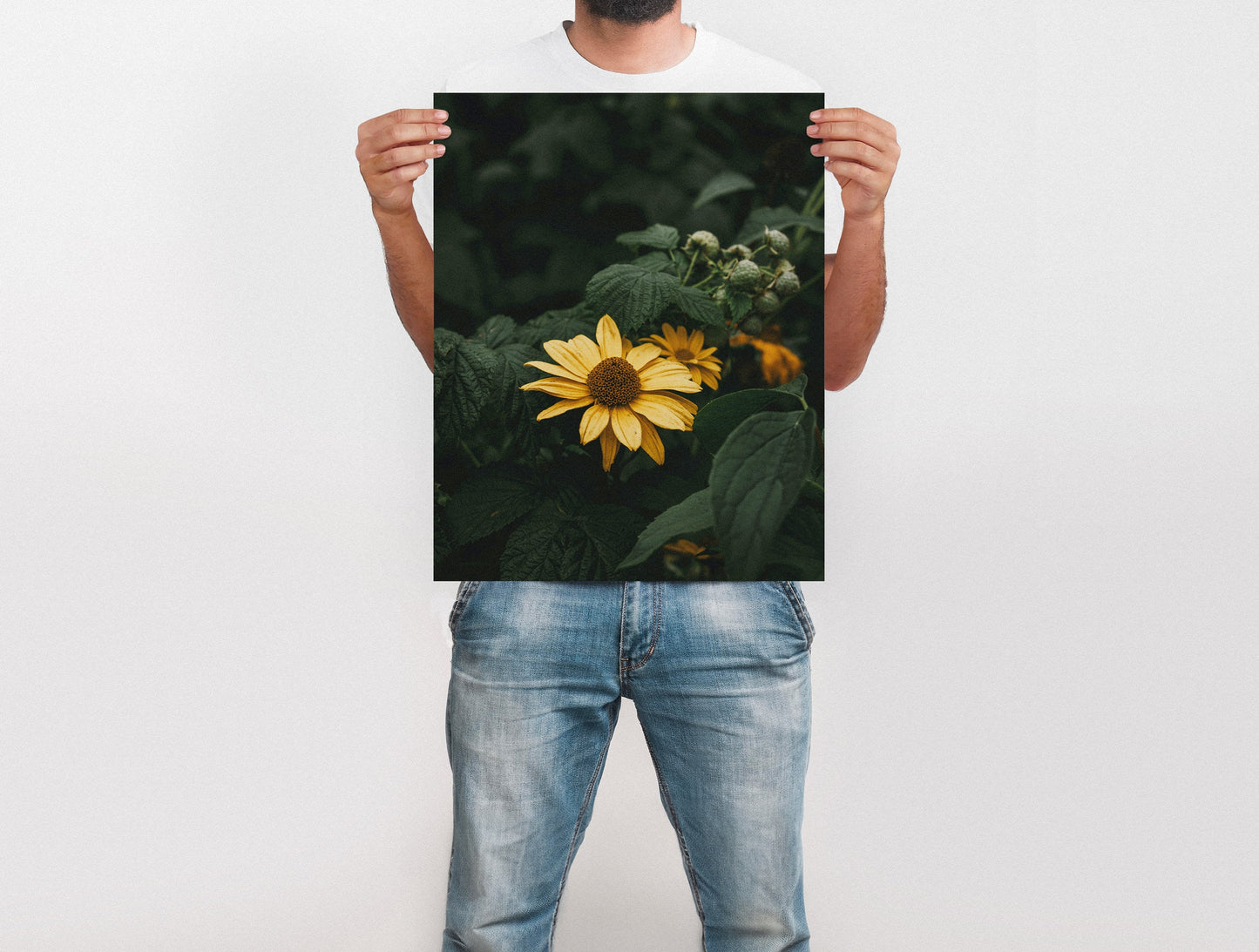 Large Format Prints