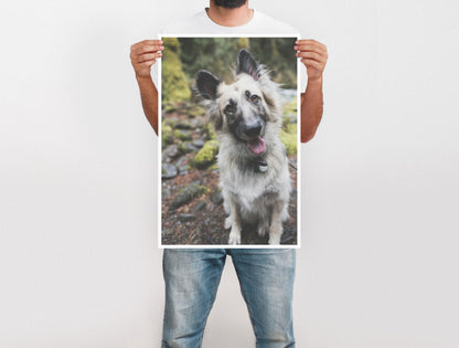 Large Format Prints