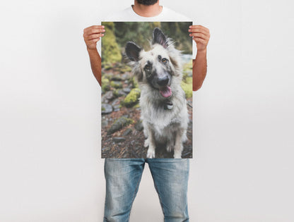 Large Format Prints