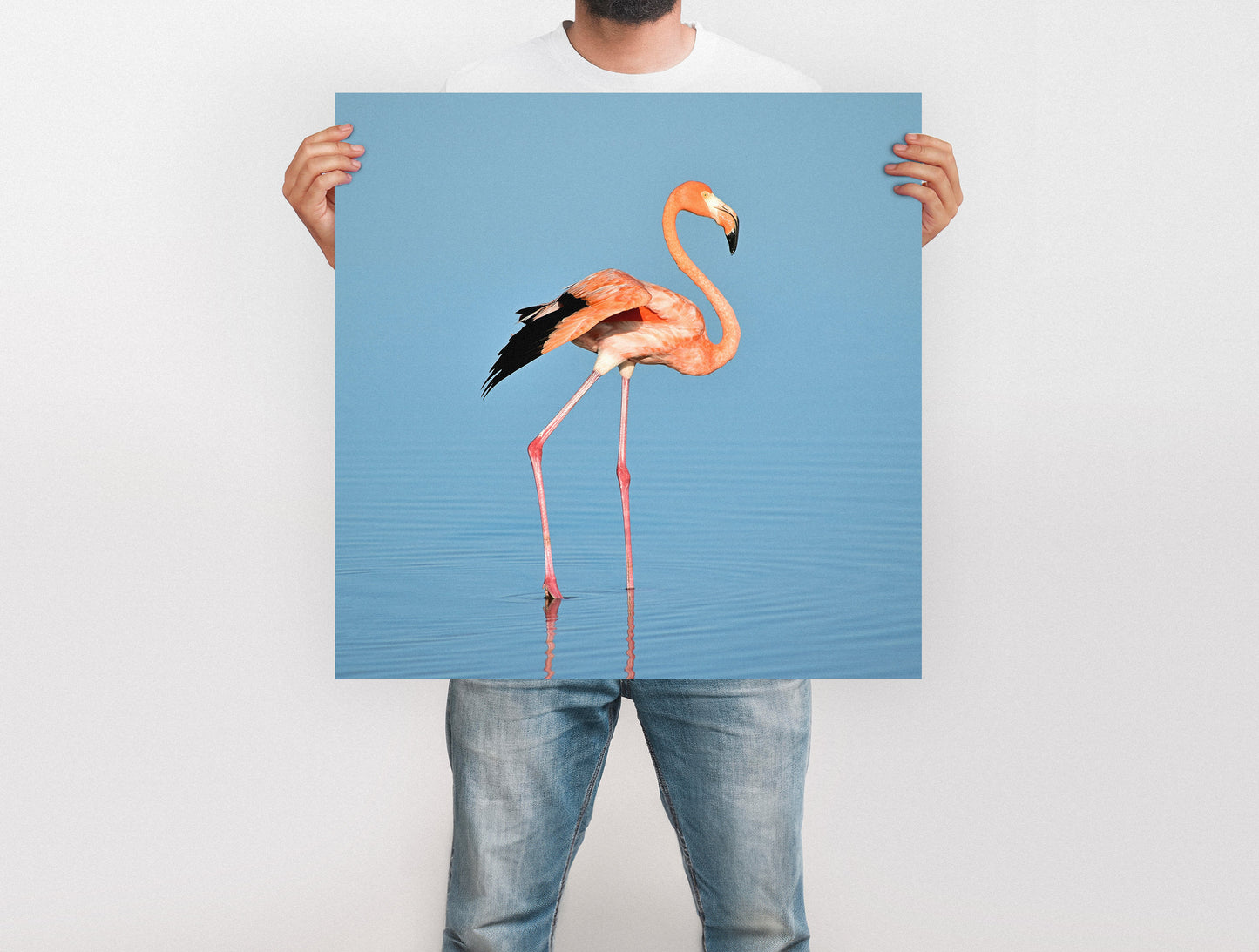 Large Format Prints