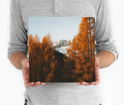 Metal Prints