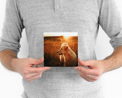 Metal Prints