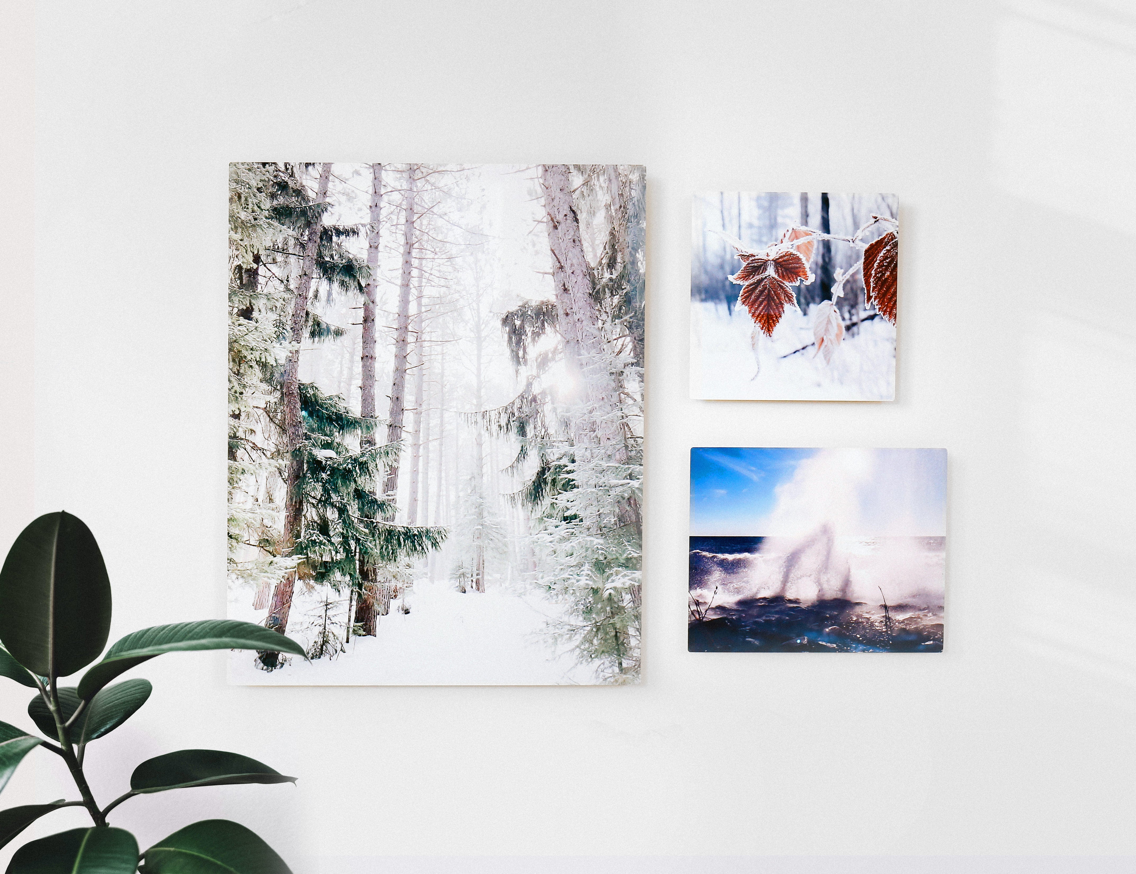 Custom popular listing for 5 aluminum prints