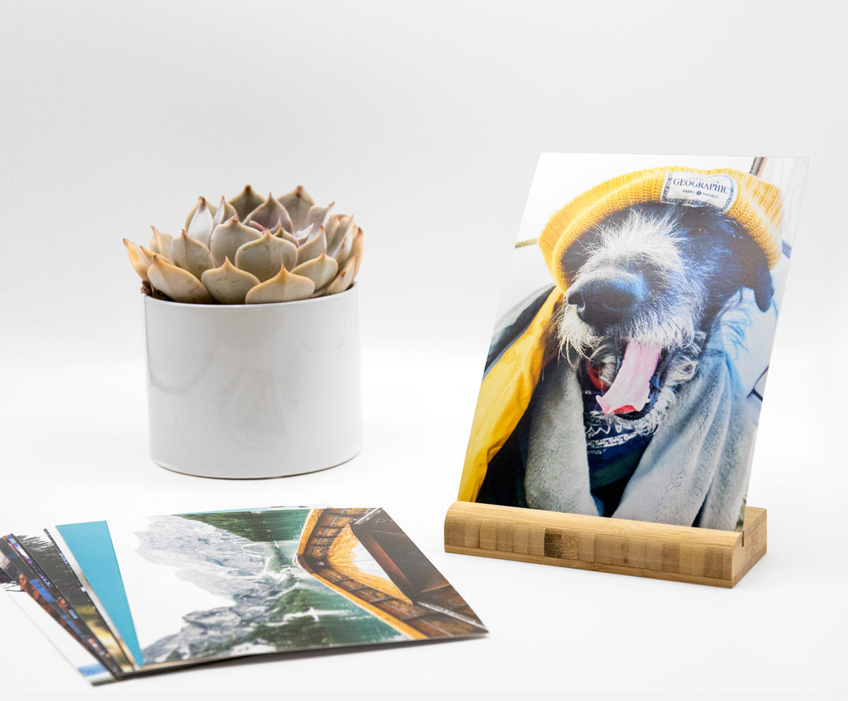 Photo Postcards | Custom Photograph Mail | Social Print Studio