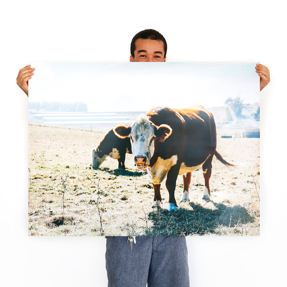 Large Format Prints