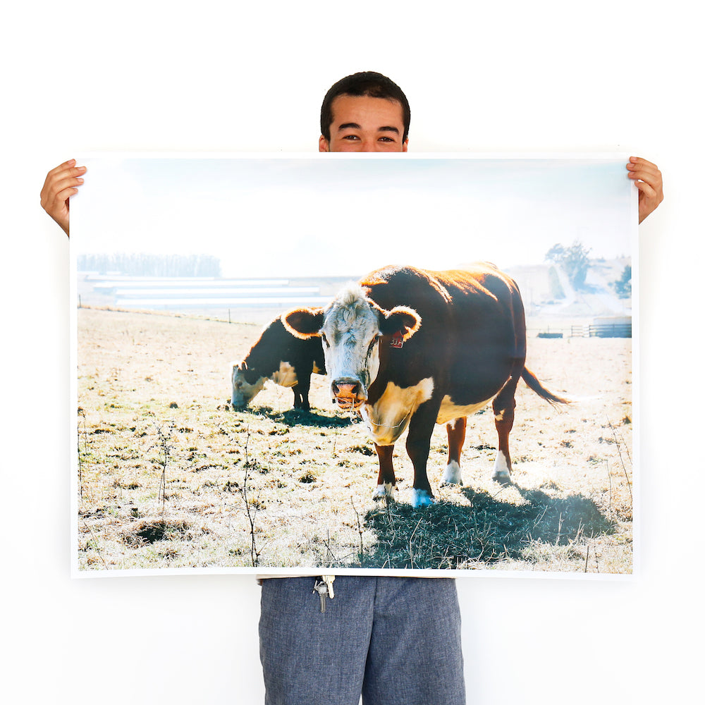 Large Format Prints