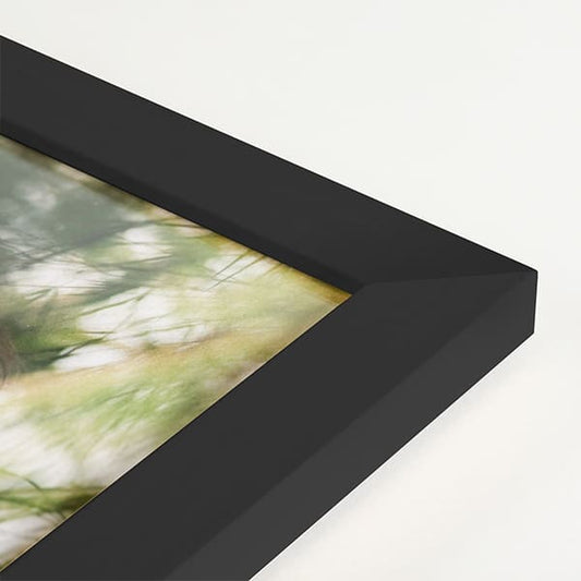 Framed Fine Art Print