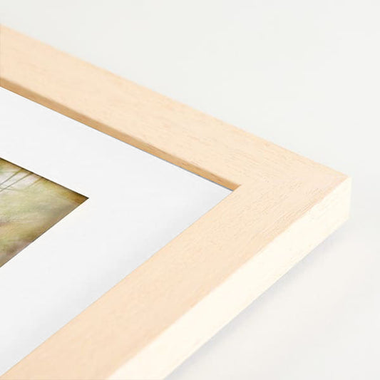 Framed Fine Art Print w/ Mat