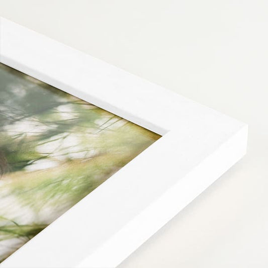 Framed Large Format Print