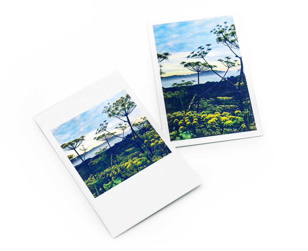 Mini Photo Prints Small But Mighty Our Mini Photo Prints Are A Simple And Classy Way To Showcase Your Digital Photos As Pocket Sized Prints Social Print Studio